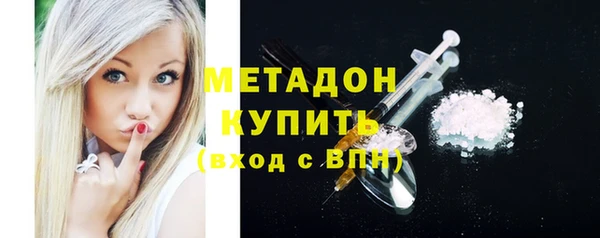 прущие грибы Алексеевка