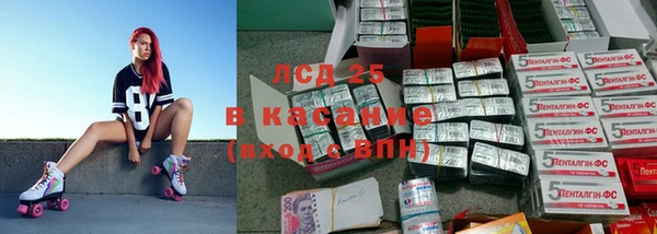 прущие грибы Алексеевка